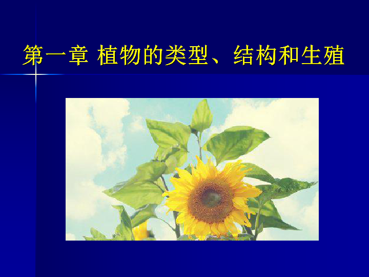 小学科学植物形态结构与分类(共398张PPT)