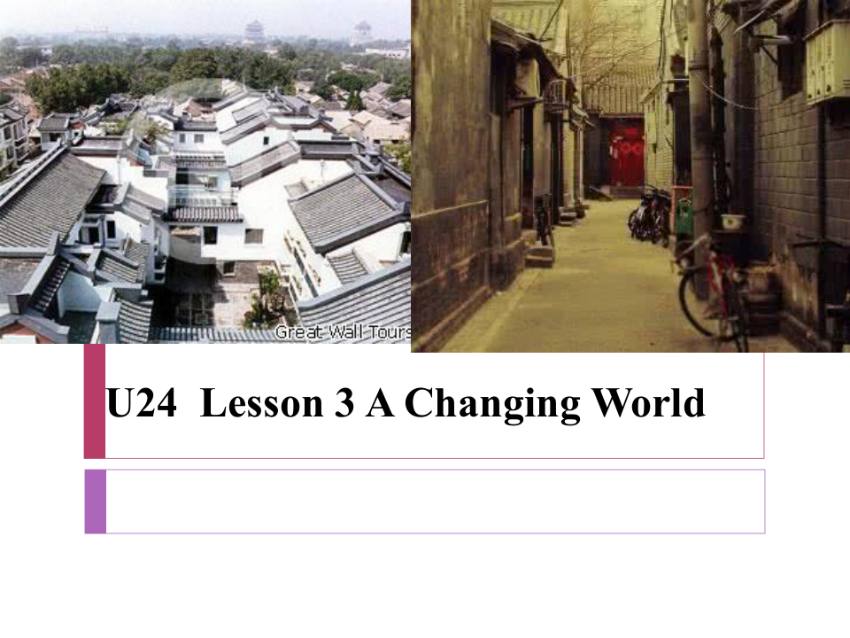 选修模块8 Unit 24 Society Lesson 3 A Changing World 课件（22张ppt）