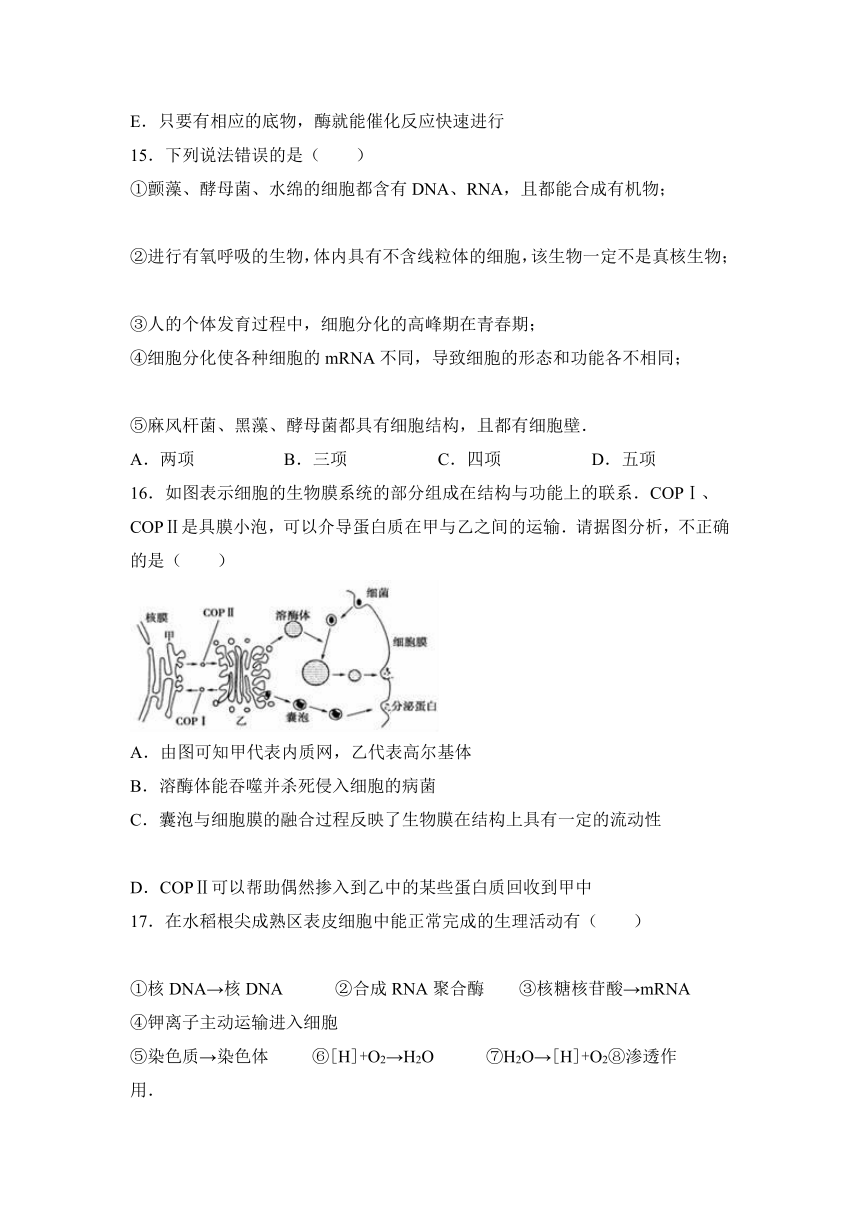 河南省周口市中英文学校2016-2017学年高三（上）期中生物试卷（解析版）