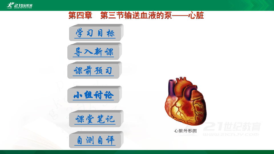 4.4.3输送血液的泵——心脏课件（23张PPT）