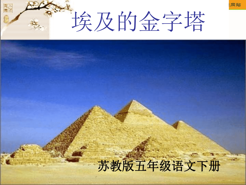 五年级语文下册课件 埃及的金字塔 3（苏教版）