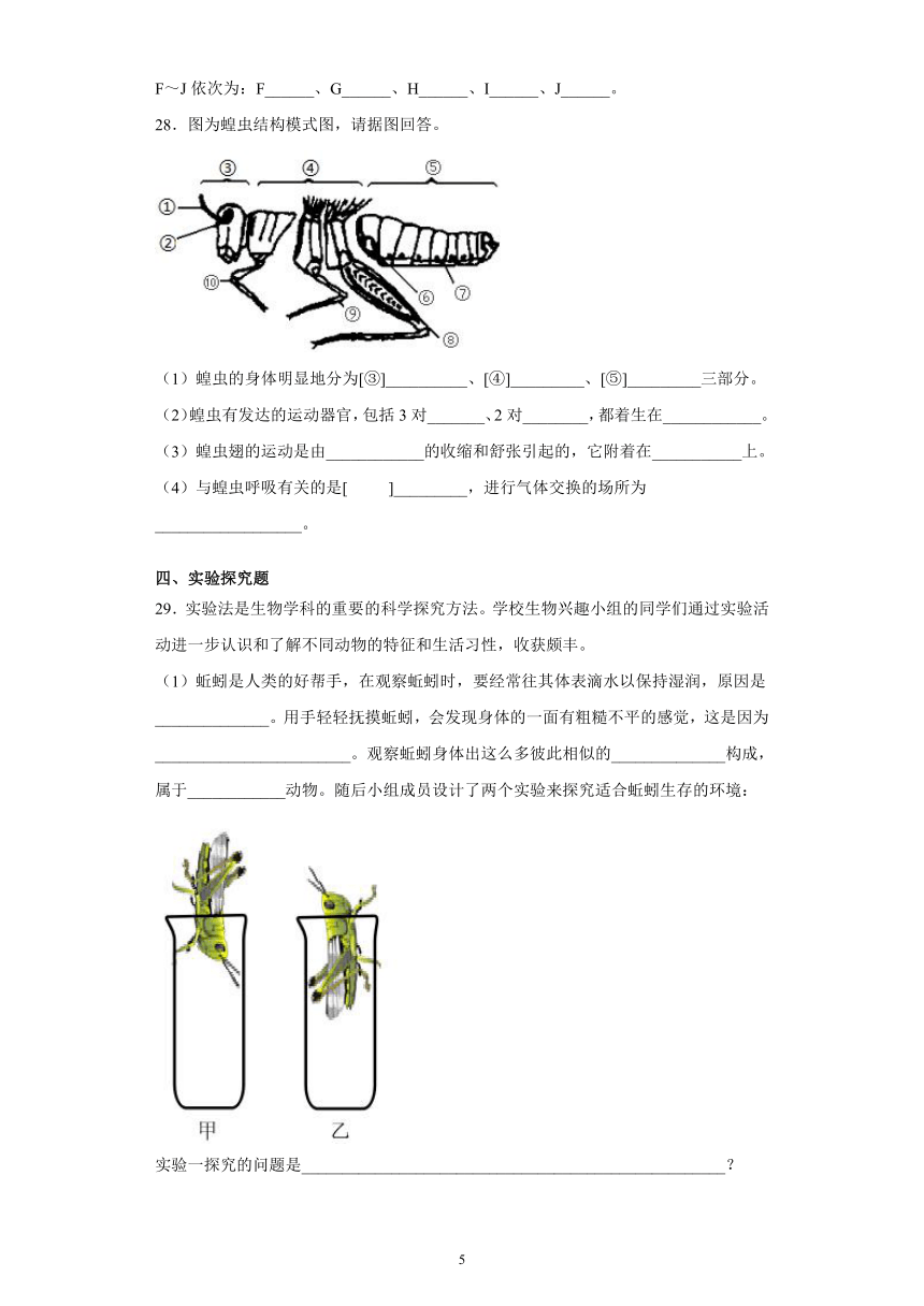 节肢动物呼吸方式图片