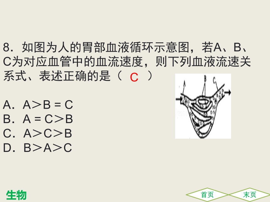 第四章人体内物质的运输 综合检测 课件（共22张PPT）