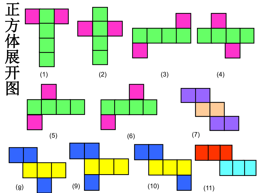 苏教版数学六上长方体和正方体的展开图课件