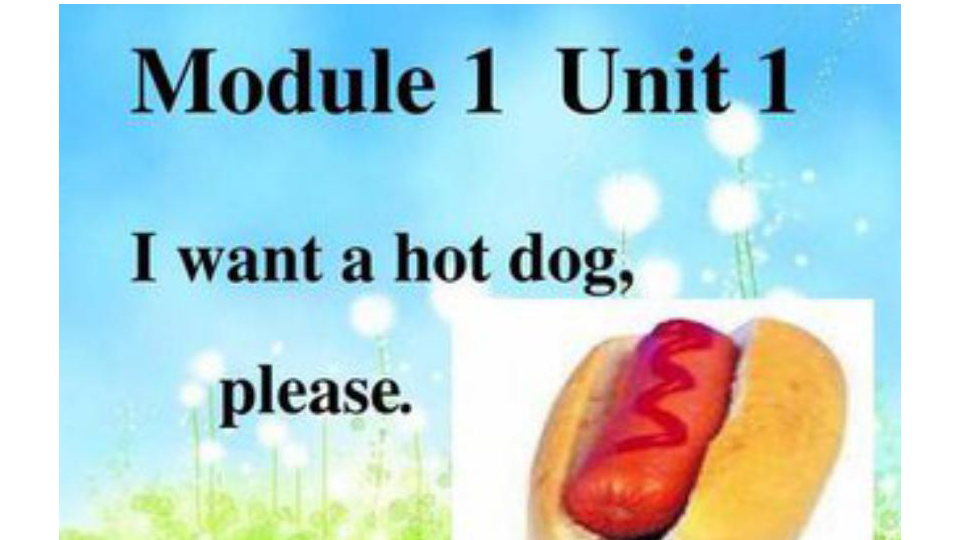 Module 1 Unit 1 I want a hot dog , please.课件（21张PPT）