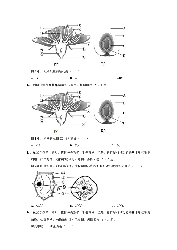 2019-2020学年江苏省淮安市洪泽区联盟校七年级（下）期中生物试卷  解析版