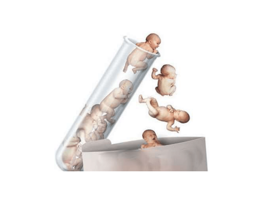 胚胎工程ppt图片
