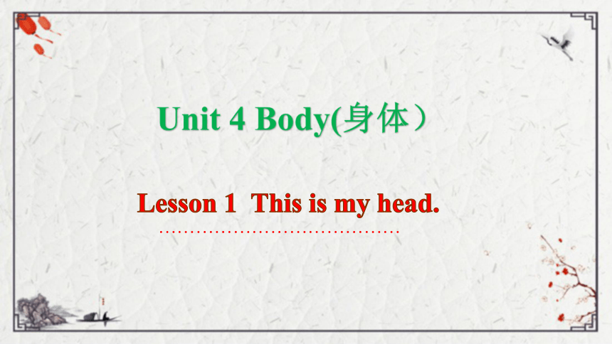 Unit 4 Body Lesson 1  This is my head课件（33张PPT)