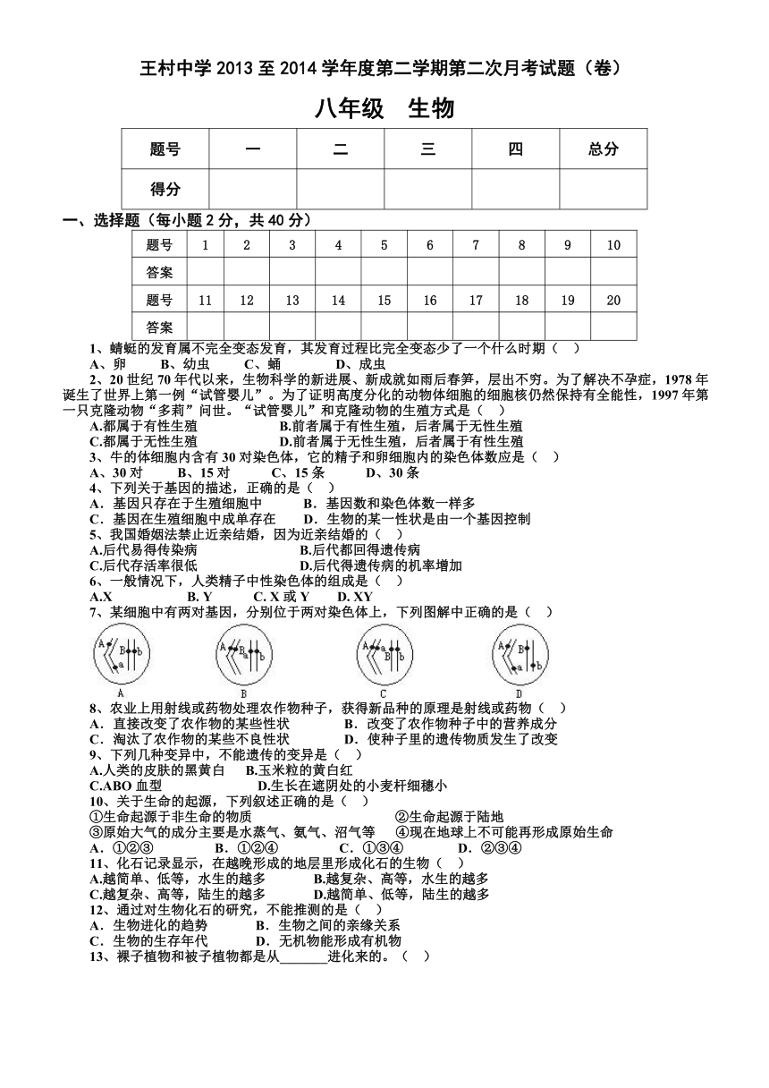 山东省邹城市王村中学2013-2014学年八年级下学期第二次月考考试生物试题（无答案）