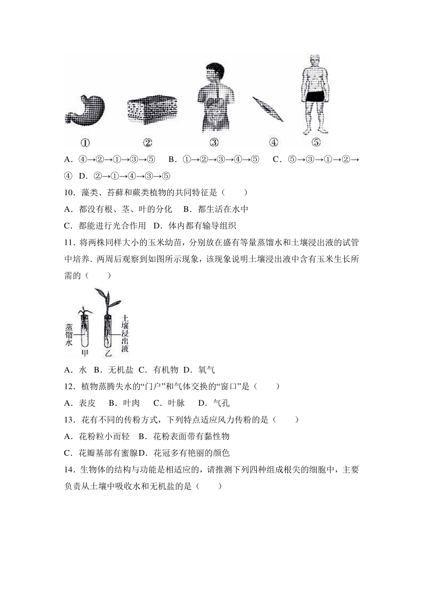 北京市西城区2016-2017学年七年级（上）期末生物试卷（解析版）