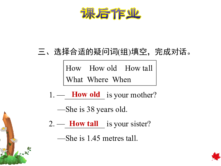 Unit 3 All about Me 复习训练课件(共19张PPT)