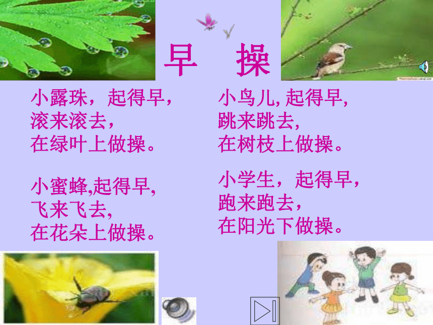 《早操》课件