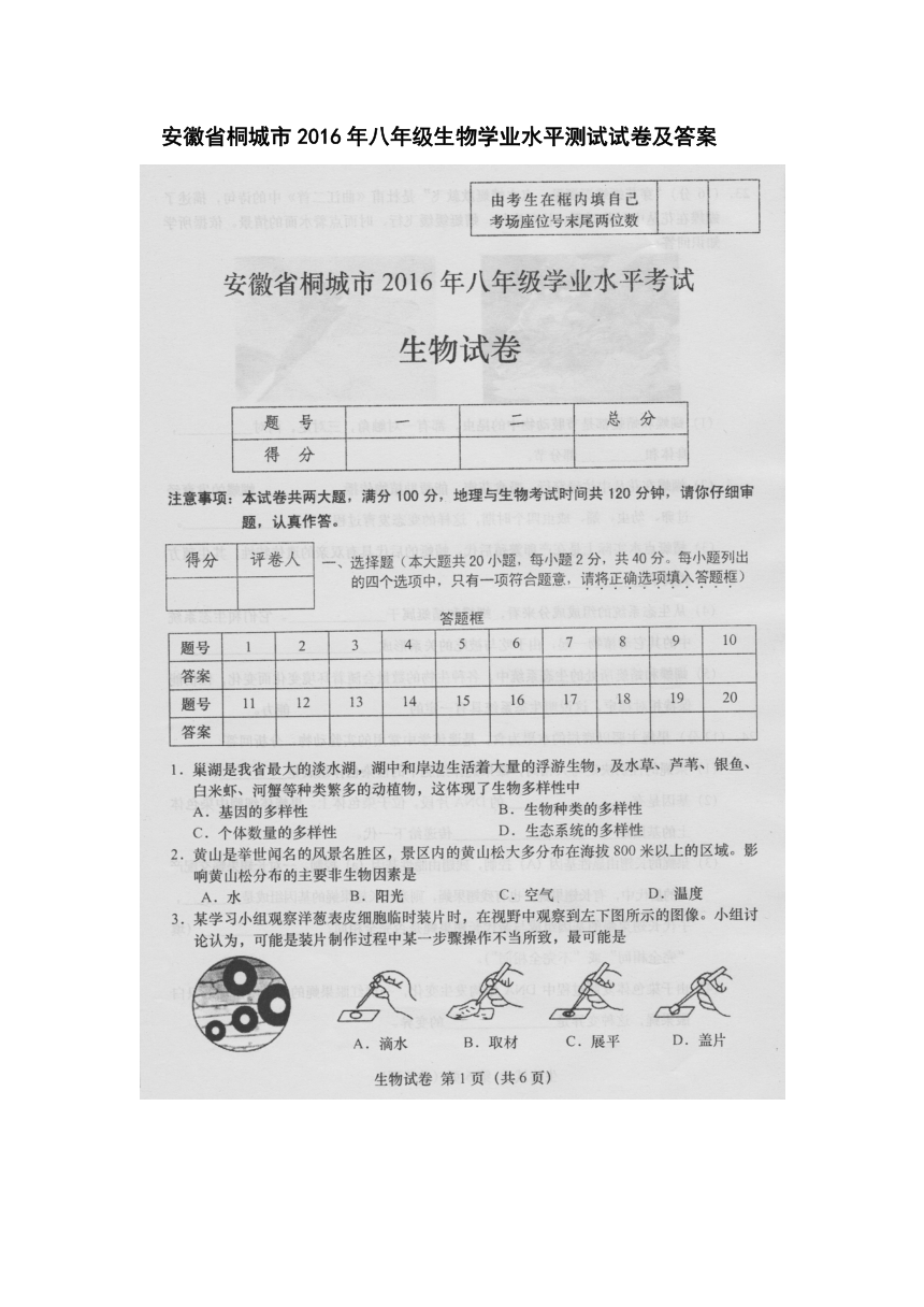 安徽省桐城市2016年八年级生物学业水平测试试卷（扫描版）及答案