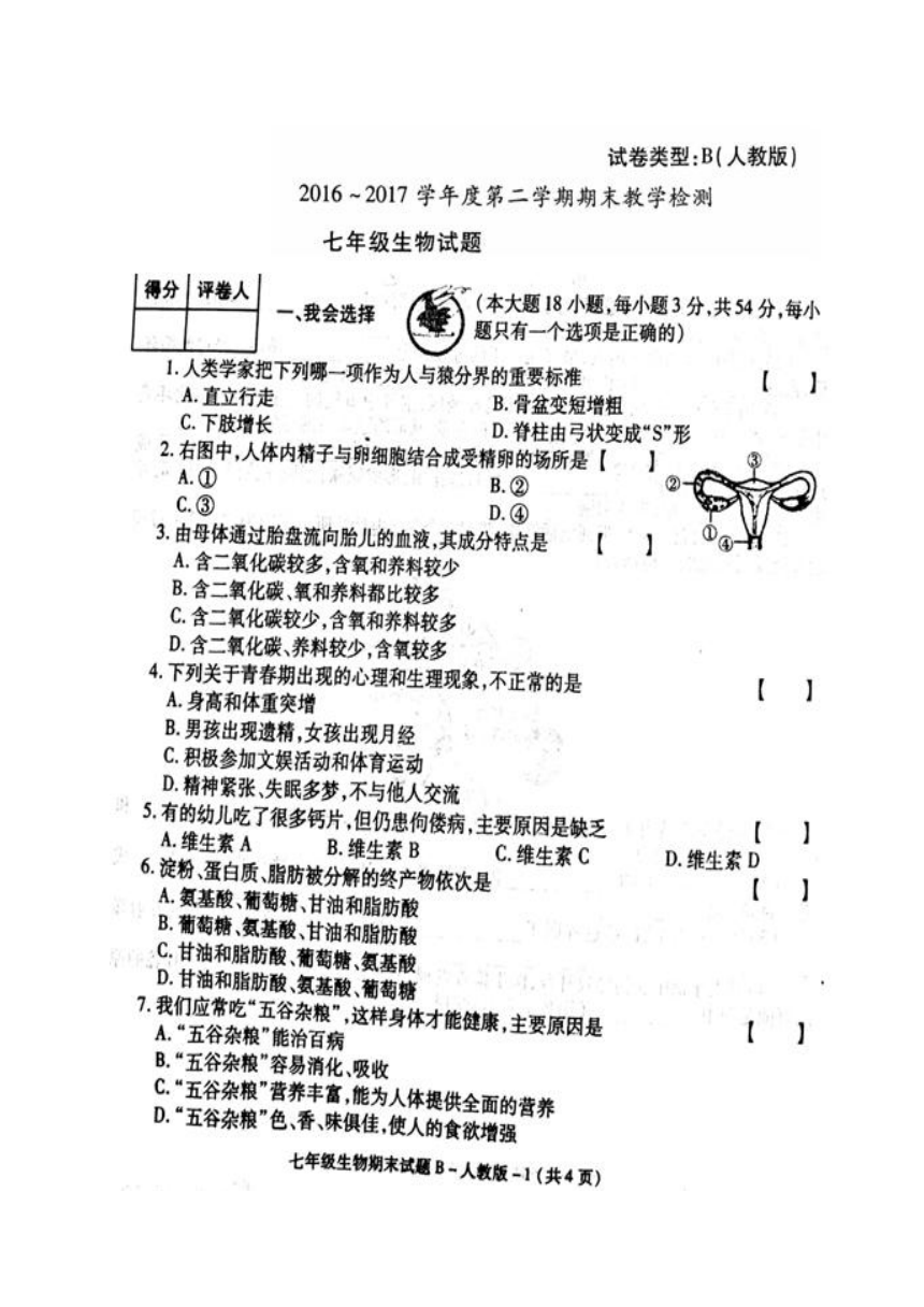 陕西省蓝田县2016-2017学年七年级下学期期末教学检测生物试题（图片版）