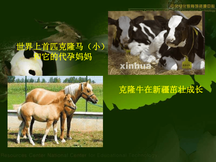 生物开学第一课课件