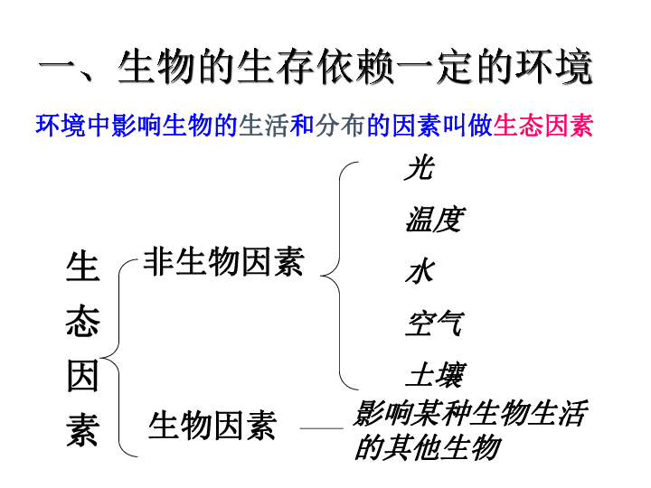 2.1 生物与环境的相互关系（课件 48张ppt）