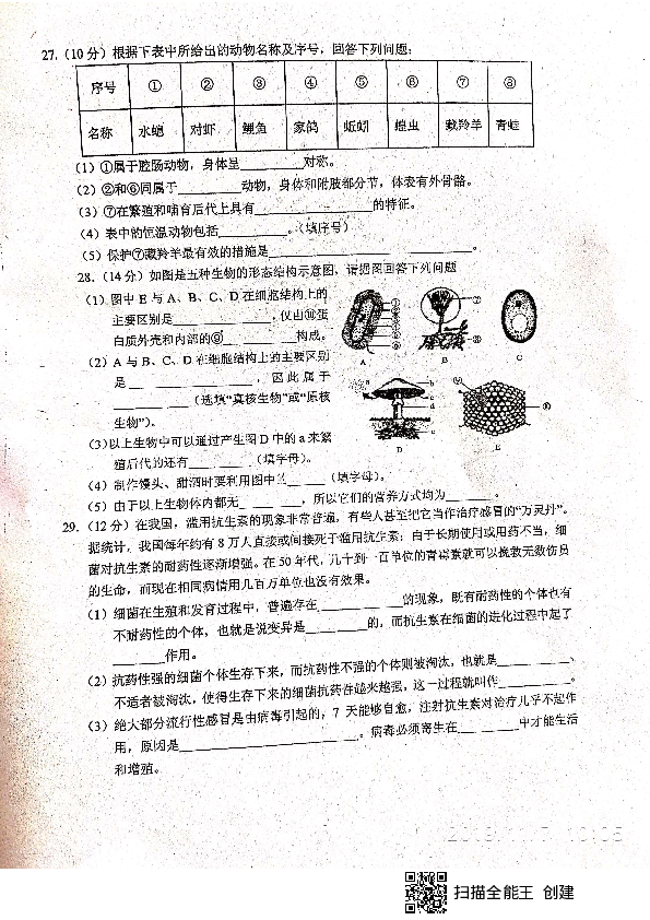 广东省封开县封川中学2019-2020学年期中八年级上生物试题（PDF版，含答案）