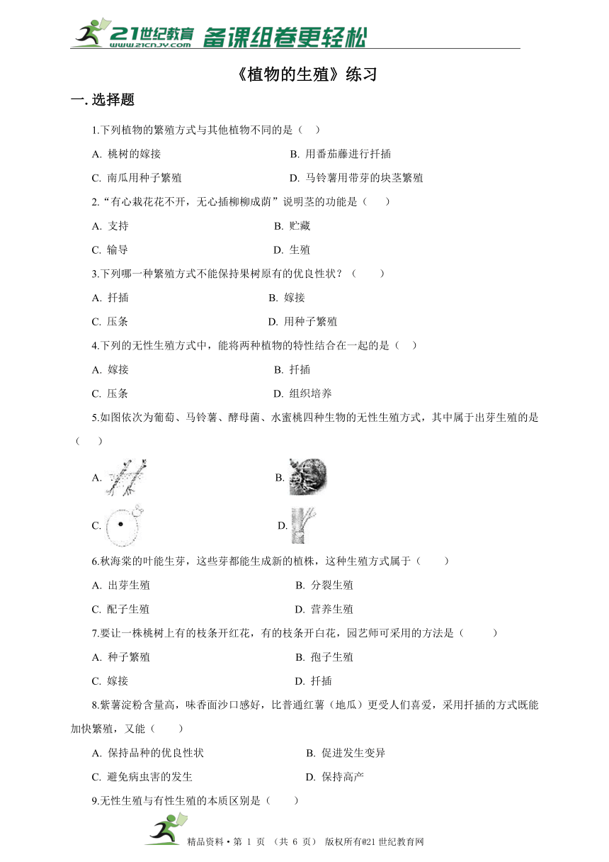 八下第七单元第一章第一节 植物的生殖同步练习（含答案）