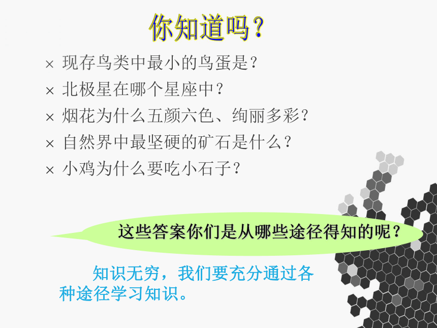 3.3.2享受学习的快乐 课件