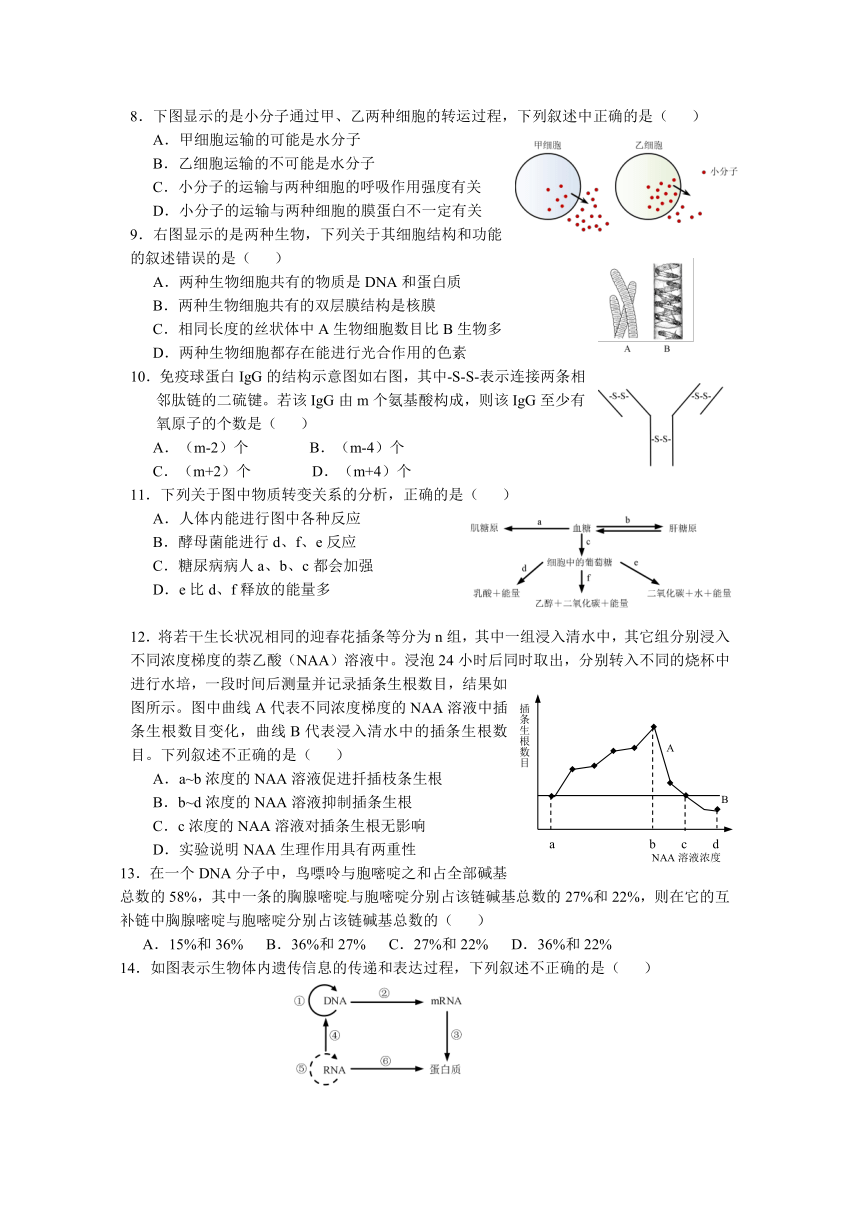 上海市虹口区2013年高考高三上学期期末考试生命科学试卷