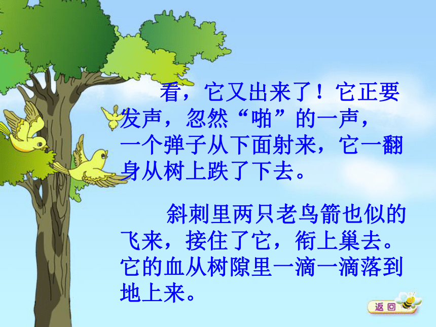 一只小鸟课件