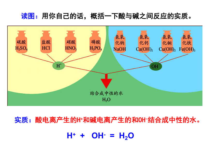 1.5  酸和碱之间发生的反应