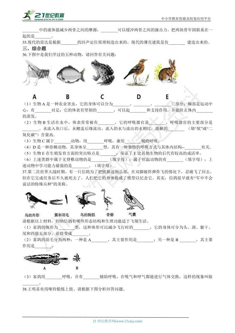 2020-2021学年初中生物人教版八年级上学期期中模拟试卷（2）（含解析）