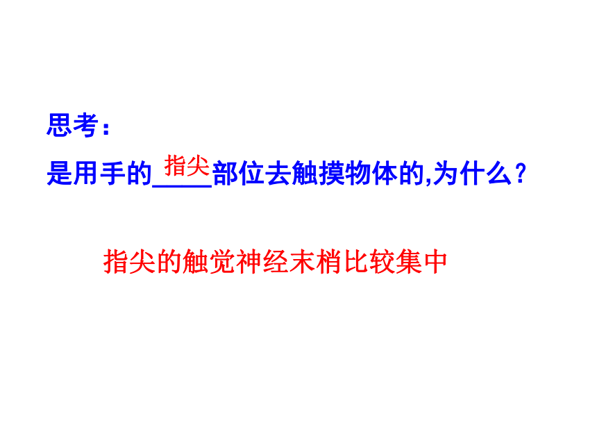 第11章 感知与协调  嗅觉、味觉和触觉  皮肤与触觉