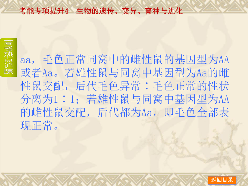 【新课标人教通用，一轮基础查漏补缺】考能专项提升4 生物的遗传、变异、育种与进化 （49ppt）