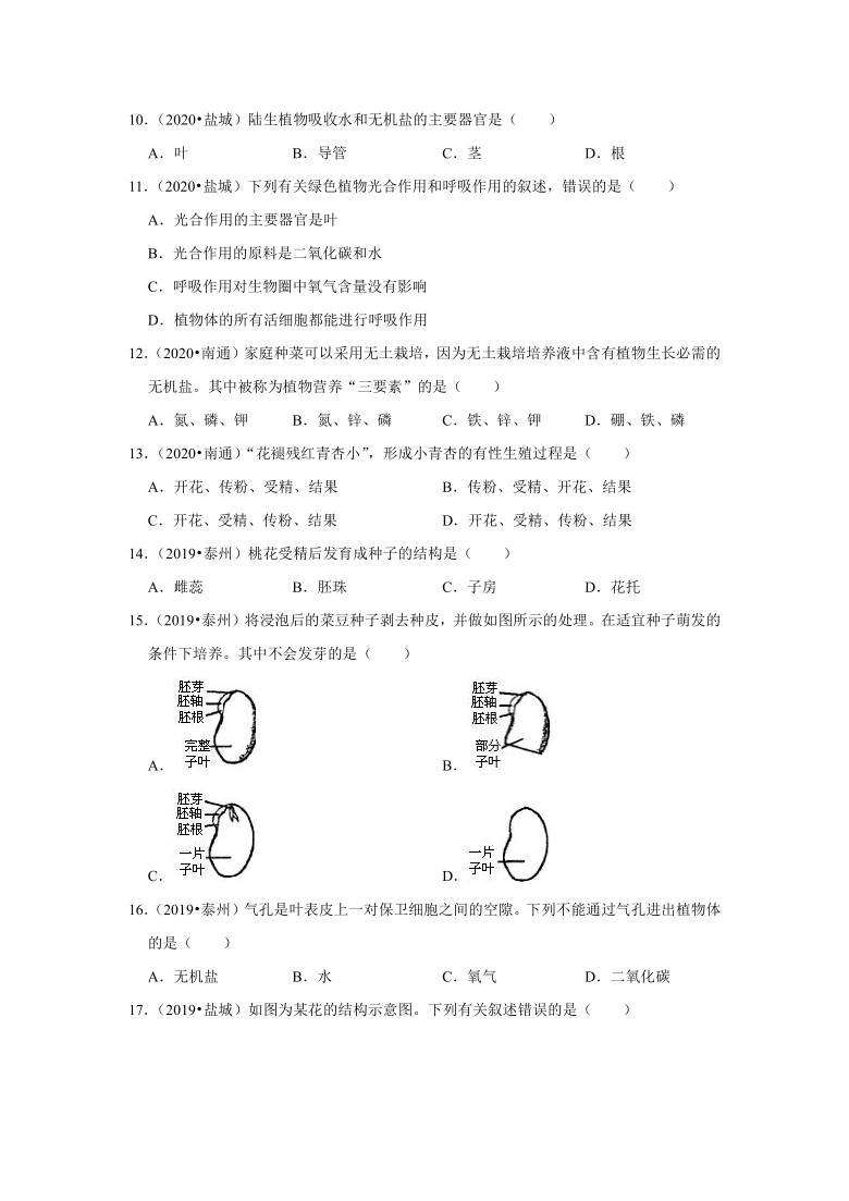 专题3绿色植物  ---2019-2021年江苏省中考生物试题分类汇编（word版 含解析）