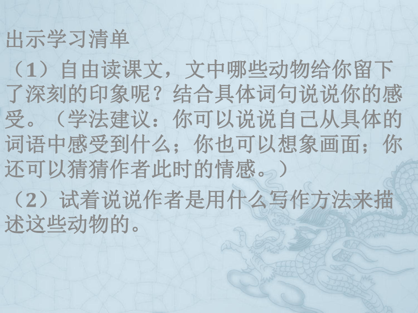 游天然动物园  课件(共25张PPT)