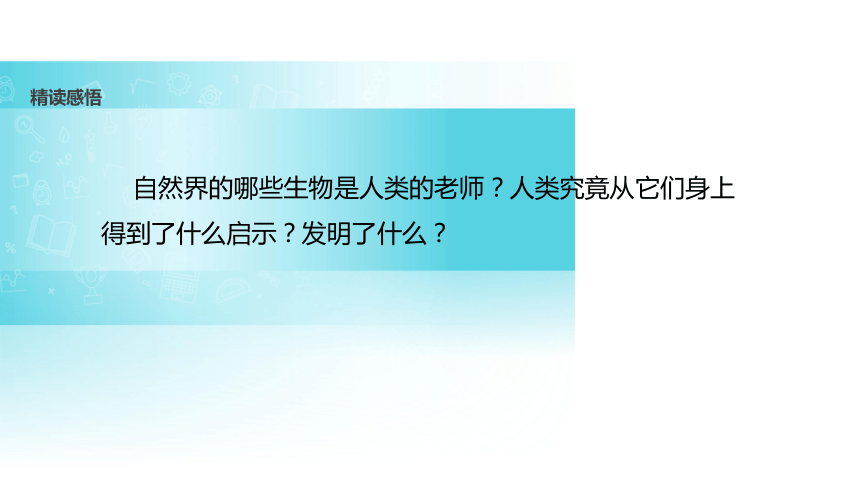 人类的老师课件(共27张PPT)