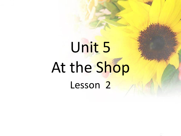 Unit 5 At the Shop Lesson 2 课件 (共18张PPT)