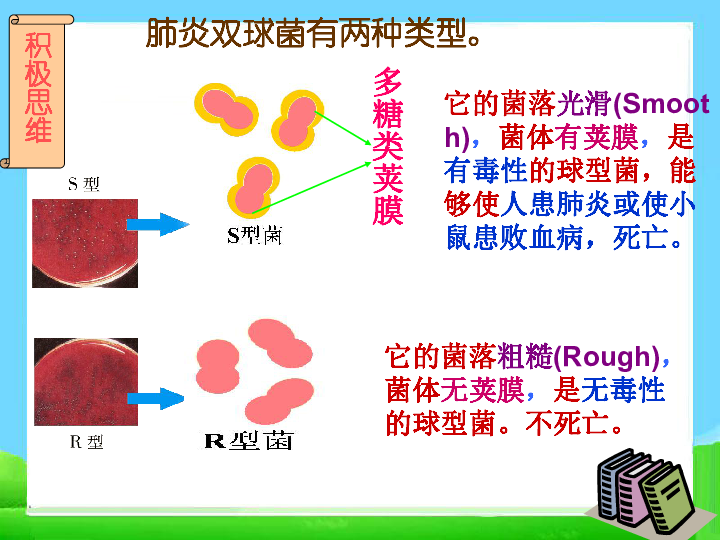 人教版高中生物必修二3.1-DNA是主要的遗传物质(44张)