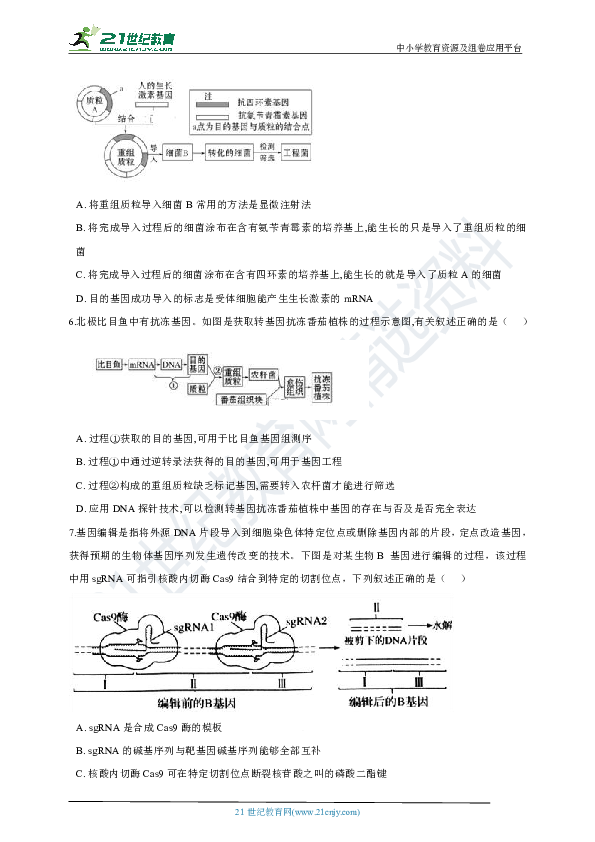 备考2020年高考生物二轮专题 第15讲 基因工程和胚胎工程（含解析）