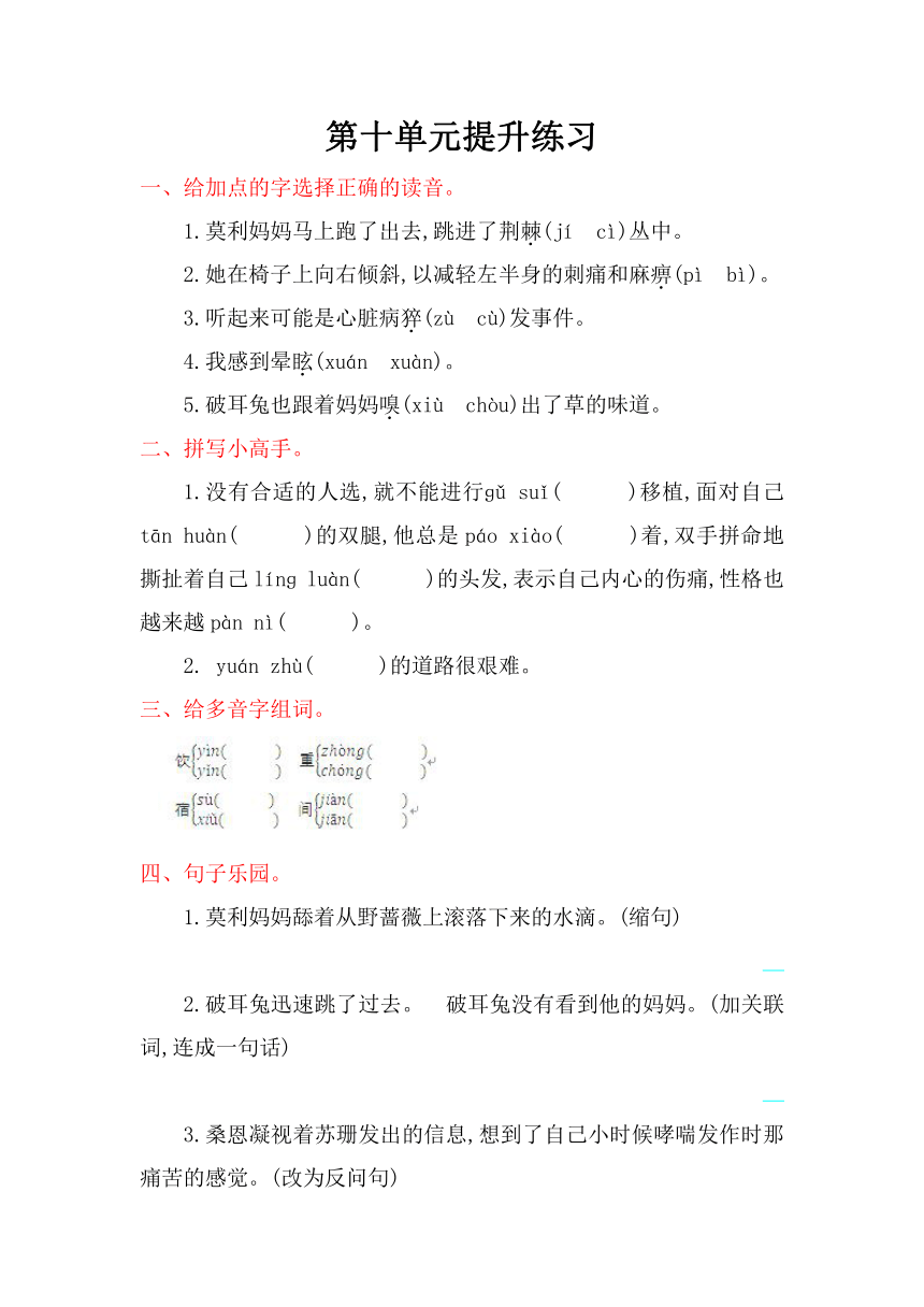 小学语文长春版六年级上册10 信息与生存单元练习