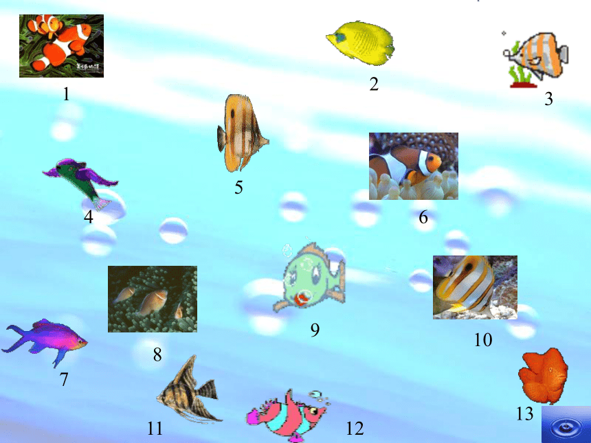 28《浅水洼里的小鱼》课件（40张）