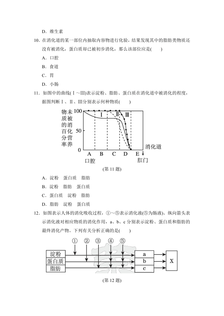 人教版七年级下册生物 期中达标测试卷（word版含部分解析）