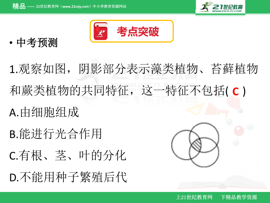 2018年广东省生物会考 七年级上册复习课件《三单元复习》课件