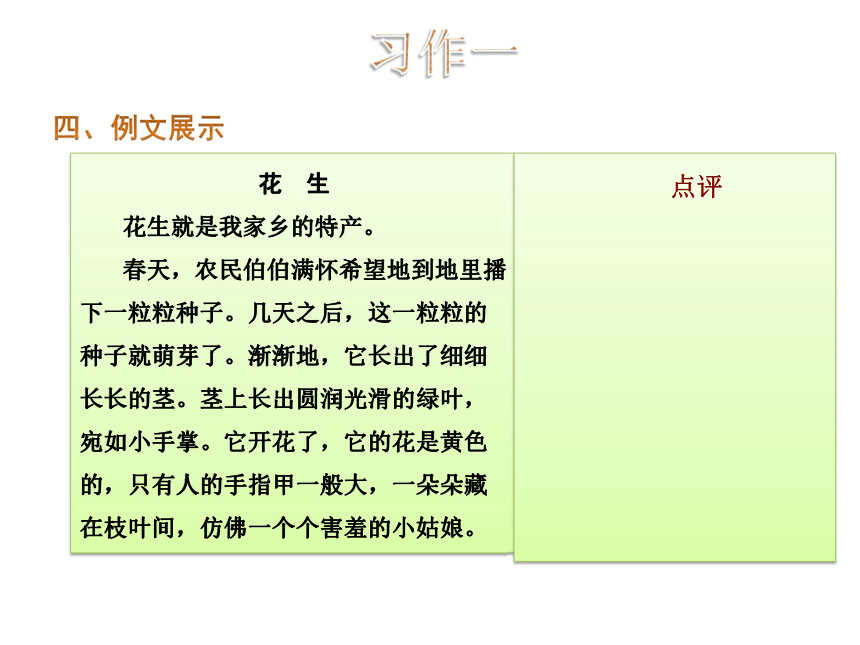 苏教版六年级上册  习作与练习（五）课件