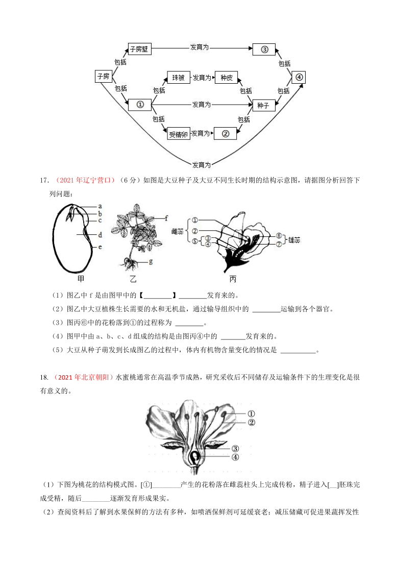 向日葵种子结构图片