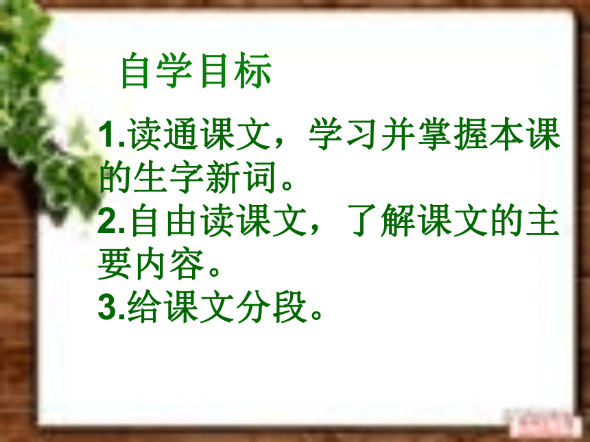语文五年级上北京版8.29《董存瑞舍身炸暗堡》课件（24张）