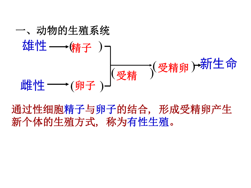 华师大版七年级下册科学61动物的生殖与发育课件30张ppt