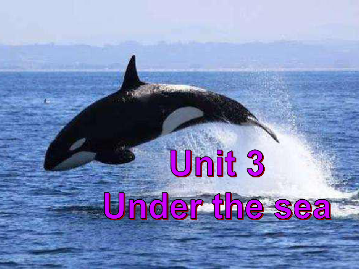 人教版高二英语选修7Unit 3 Under the sea Speaking and Writing课件（26张）
