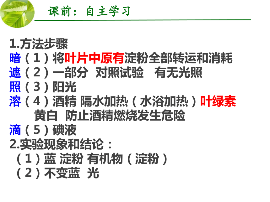 2021年中考生物一轮复习---绿色植物的光合作用和呼吸作用复习课教学课件（共35张PPT）