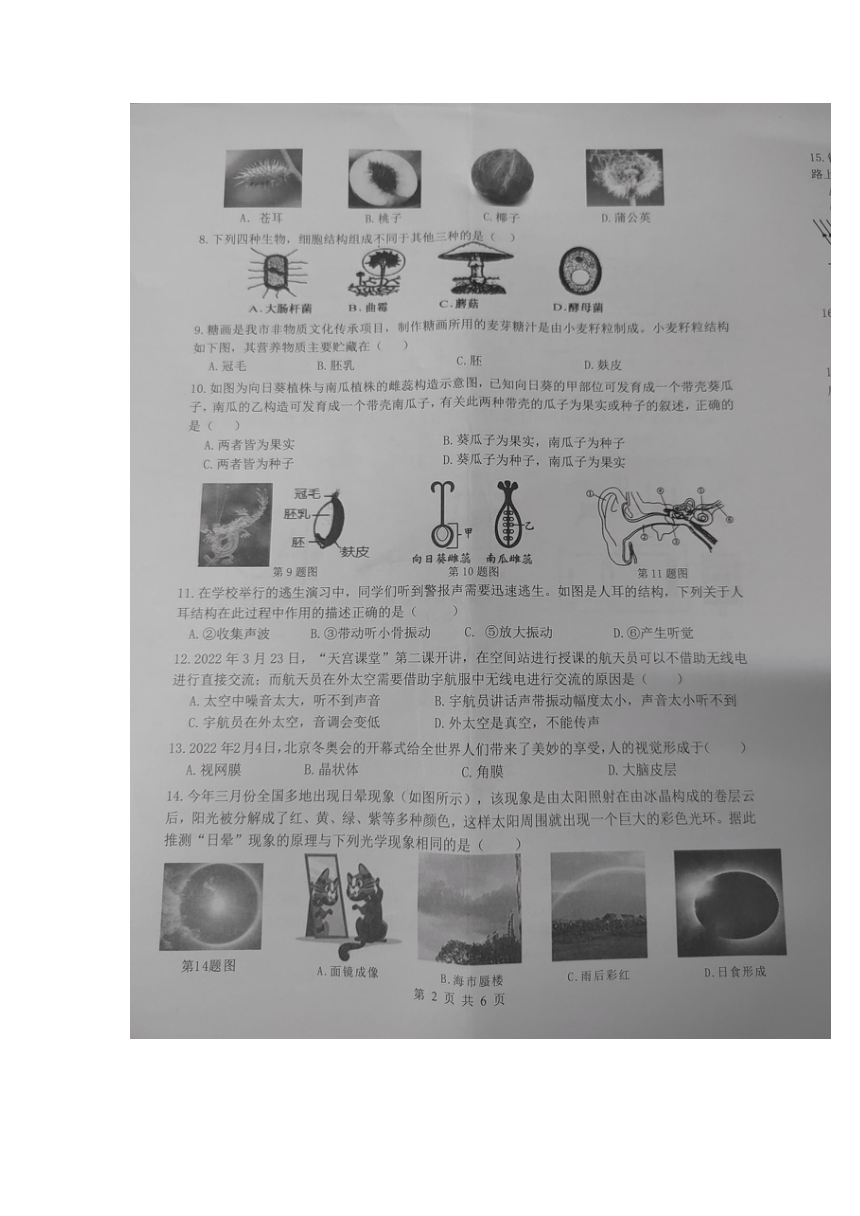 浙江省温州市瓯海区20212022学年下学期七年级新希望联盟期中考试科学