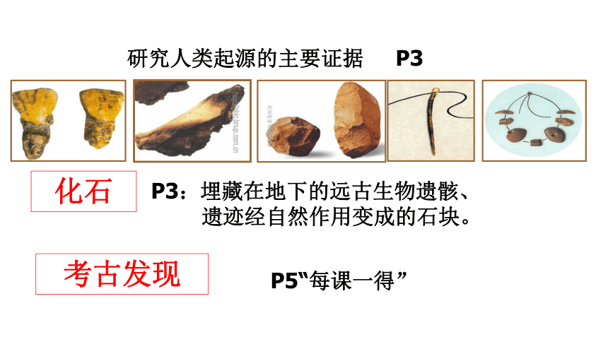 第1课  中华大地的远古人类 课件