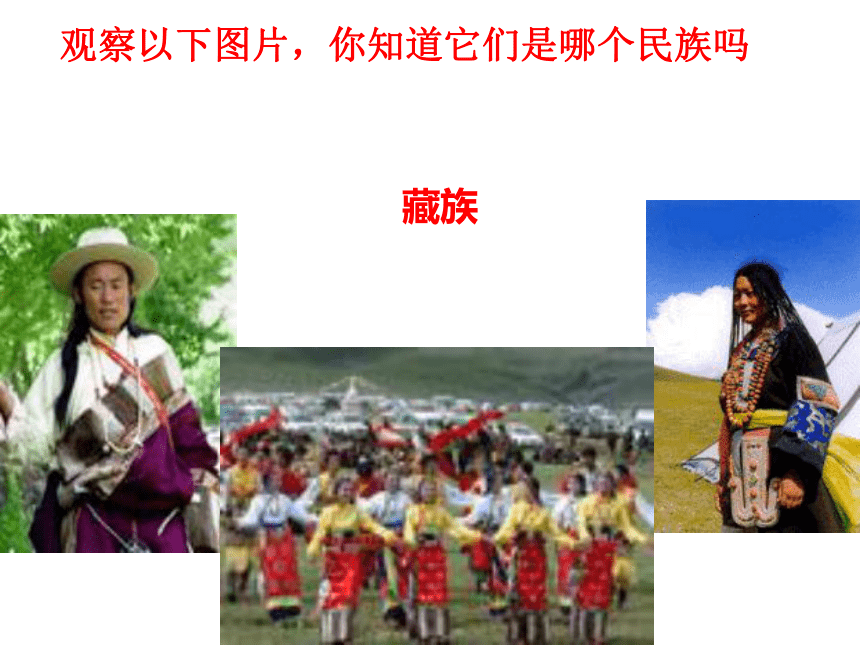 第四节 中国的民族