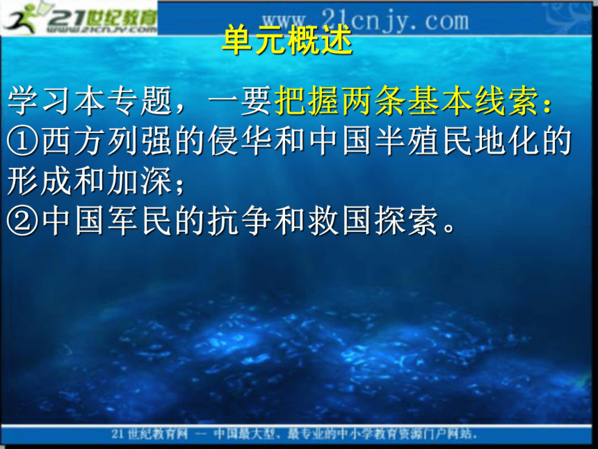 2010届高考历史专题复习系列35：《近代中国反侵略、求民主的潮流》