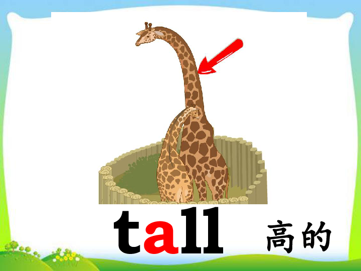 Unit 3 At the zoo PA Let’s talk 课件(共34张PPT)